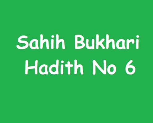 Sahih Bukhari Hadith No 6