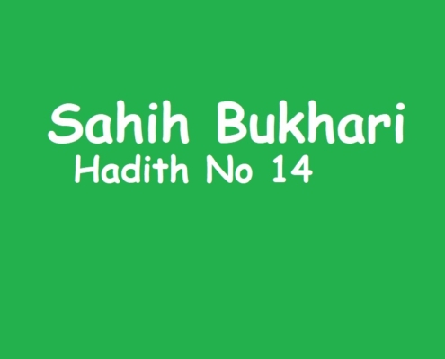 Sahih Bukhari Hadith No 14 in Urdu, Arabic and English