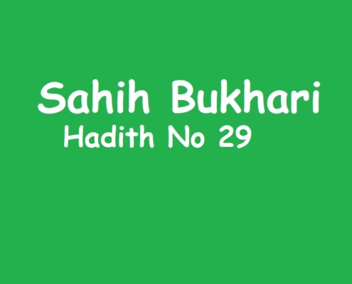 Sahih Bukhari Hadith No 29