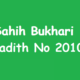 Sahih Bukhari Hadith 2010