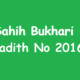 Sahih Bukhari Hadith 2016