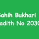 Sahih Bukhari Hadith 2030