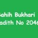 Sahih Bukhari Hadith 2046