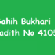 Sahih Bukhari Hadith 4105