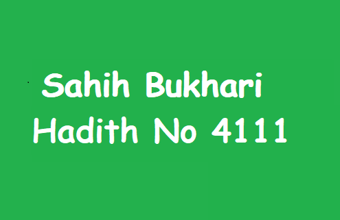 Sahih Bukhari Hadith 4111