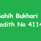 Sahih Bukhari Hadith 4114