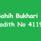 Sahih Bukhari Hadith 4119