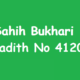 Sahih Bukhari Hadith 4120