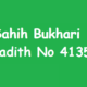Sahih Bukhari Hadith 4135