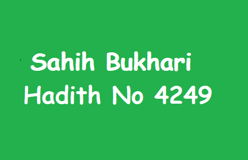 Sahih Bukhari Hadith 4249