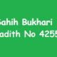 Sahih Bukhari Hadith 4255