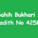 Sahih Bukhari Hadith 4258