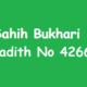Sahih Bukhari Hadith 4266