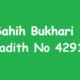 Sahih Bukhari Hadith 4291