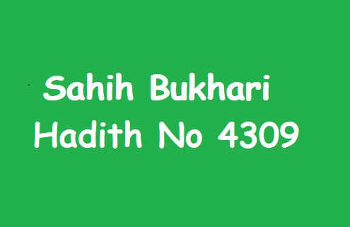 Sahih Bukhari Hadith 4309