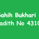 Sahih Bukhari Hadith 4310
