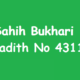 Sahih Bukhari Hadith 4311