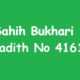 Sahih Bukhari Hadith 4161