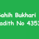 Sahih Bukhari Hadith 4353