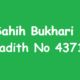 Sahih Bukhari Hadith 4371