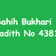 Sahih Bukhari Hadith 4381