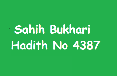 Sahih Bukhari Hadith 4387