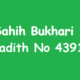 Sahih Bukhari Hadith 4391
