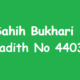 Sahih Bukhari Hadith 4403