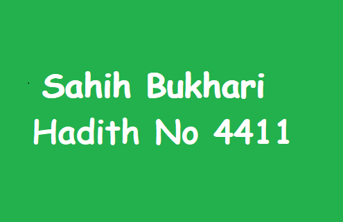 Sahih Bukhari Hadith 4411