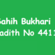 Sahih Bukhari Hadith 4411