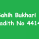 Sahih Bukhari Hadith 4414