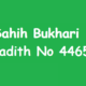 Sahih Bukhari Hadith 4465