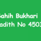 Sahih Bukhari Hadith 4503
