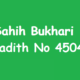 Sahih Bukhari Hadith 4504