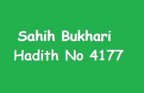 Sahih Bukhari Hadith 4177