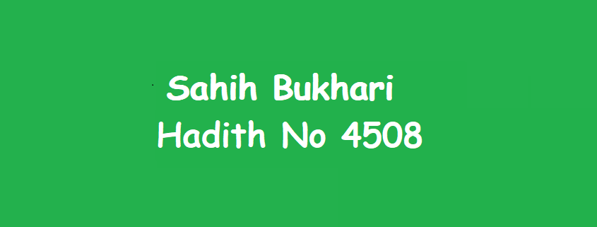 Sahih Bukhari Hadith 4508