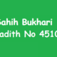 Sahih Bukhari Hadith 4510
