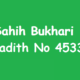 Sahih Bukhari Hadith 4533