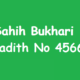 Sahih Bukhari Hadith 4566