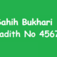 Sahih Bukhari Hadith 4567