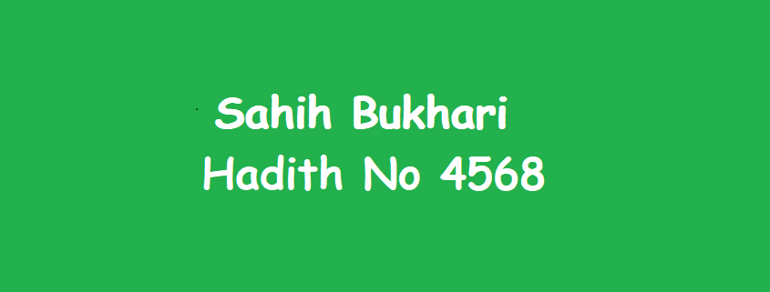 Sahih Bukhari Hadith 4568