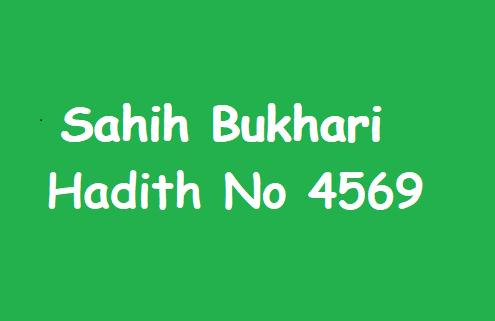 Sahih Bukhari Hadith 4569