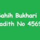 Sahih Bukhari Hadith 4569