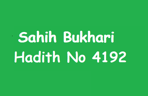 Sahih Bukhari Hadith 4192