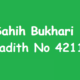 Sahih Bukhari Hadith 4211