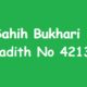 Sahih Bukhari Hadith 4213