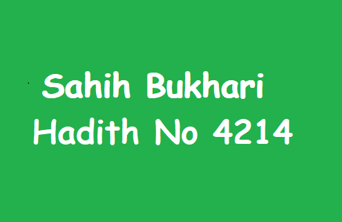 Sahih Bukhari Hadith 4214
