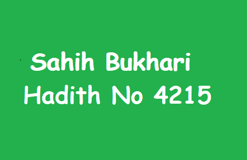 Sahih Bukhari Hadith No 4215