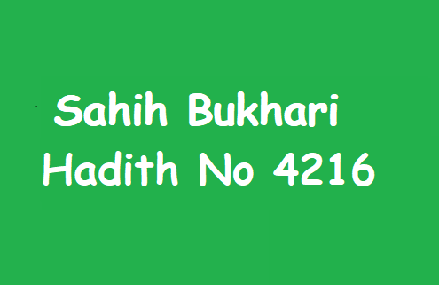 Sahih Bukhari Hadith No 4216