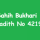 Sahih Bukhari Hadith 4219